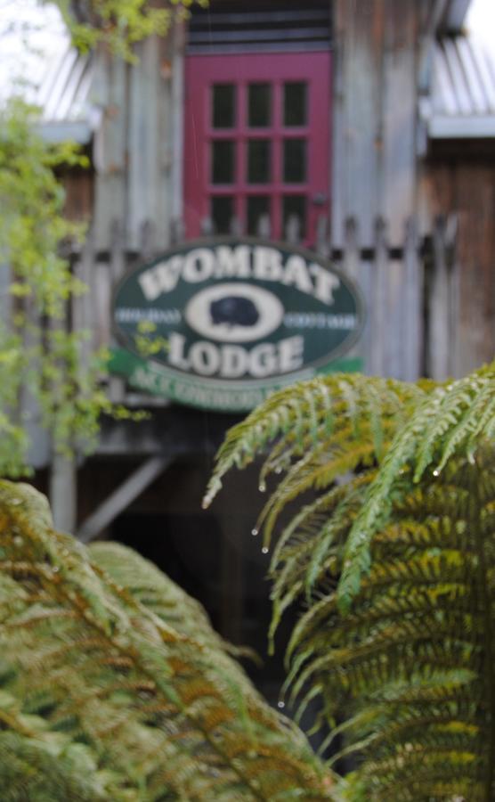 The Wombat Cottage Tullah Kültér fotó